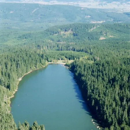 Hvozd