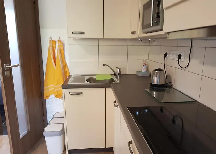 Hvozd Gasthof 3*